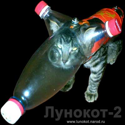 ЛуноКот-2