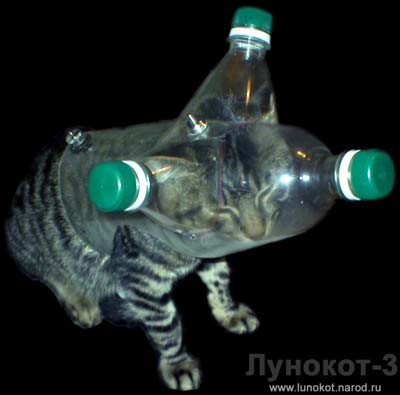 ЛуноКот-3